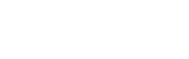 The CEO Institute